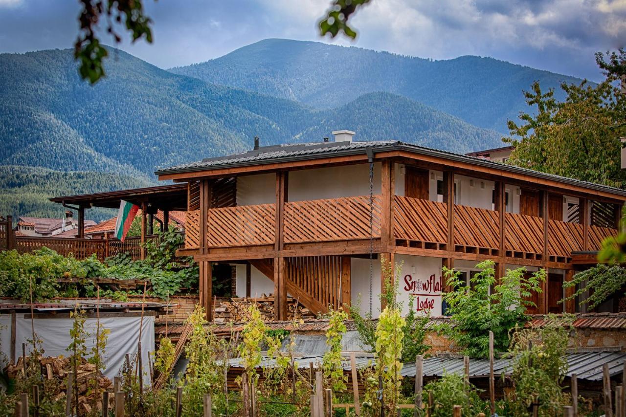 בנסקו Къщи За Гости Сноуфлейк Snowflake Chalet And Snowflake Lodge מראה חיצוני תמונה