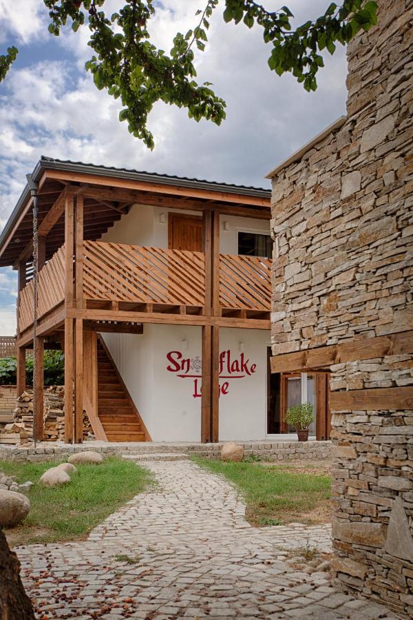 בנסקו Къщи За Гости Сноуфлейк Snowflake Chalet And Snowflake Lodge מראה חיצוני תמונה